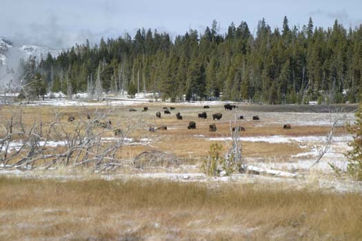 USA WY YellowstoneNP 2004NOV01 OldFaithful 034